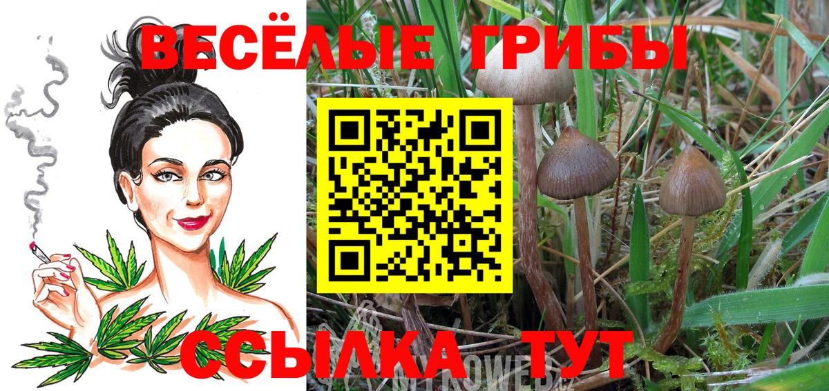 Галлюциногенные грибы ЛСД  Вход с VPN  даркнет сайт  Галлюциногенные грибы Magic Shrooms  Кыштым 